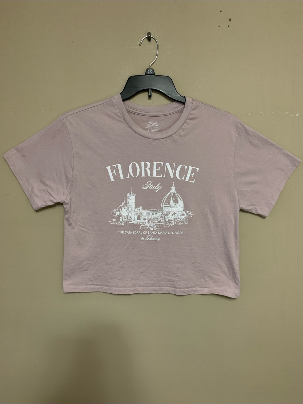Organic Collective Women’s Florence Italy Graphic Crop Tee - Dusty Pink Large